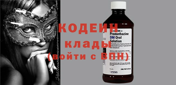 дмт Вяземский