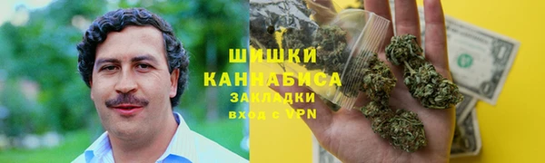 сатива Горнозаводск