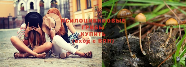 дмт Вяземский