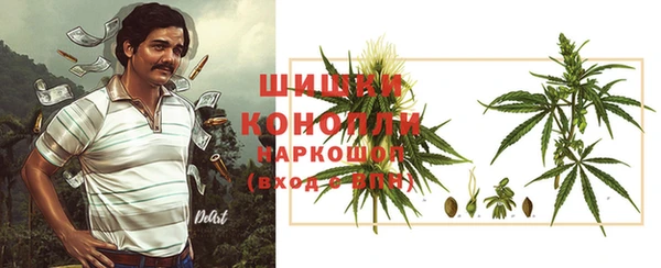 сатива Вязники