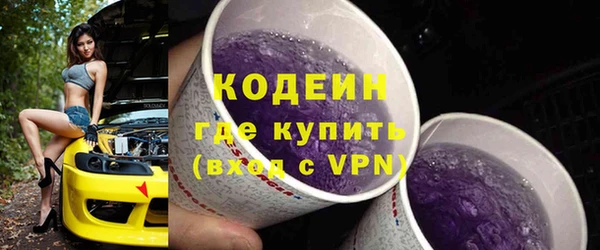 дмт Вяземский